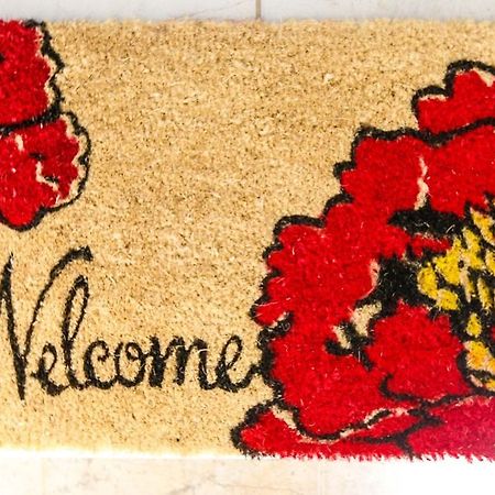 Cattleya'S New Kingston Guest Apartment 外观 照片