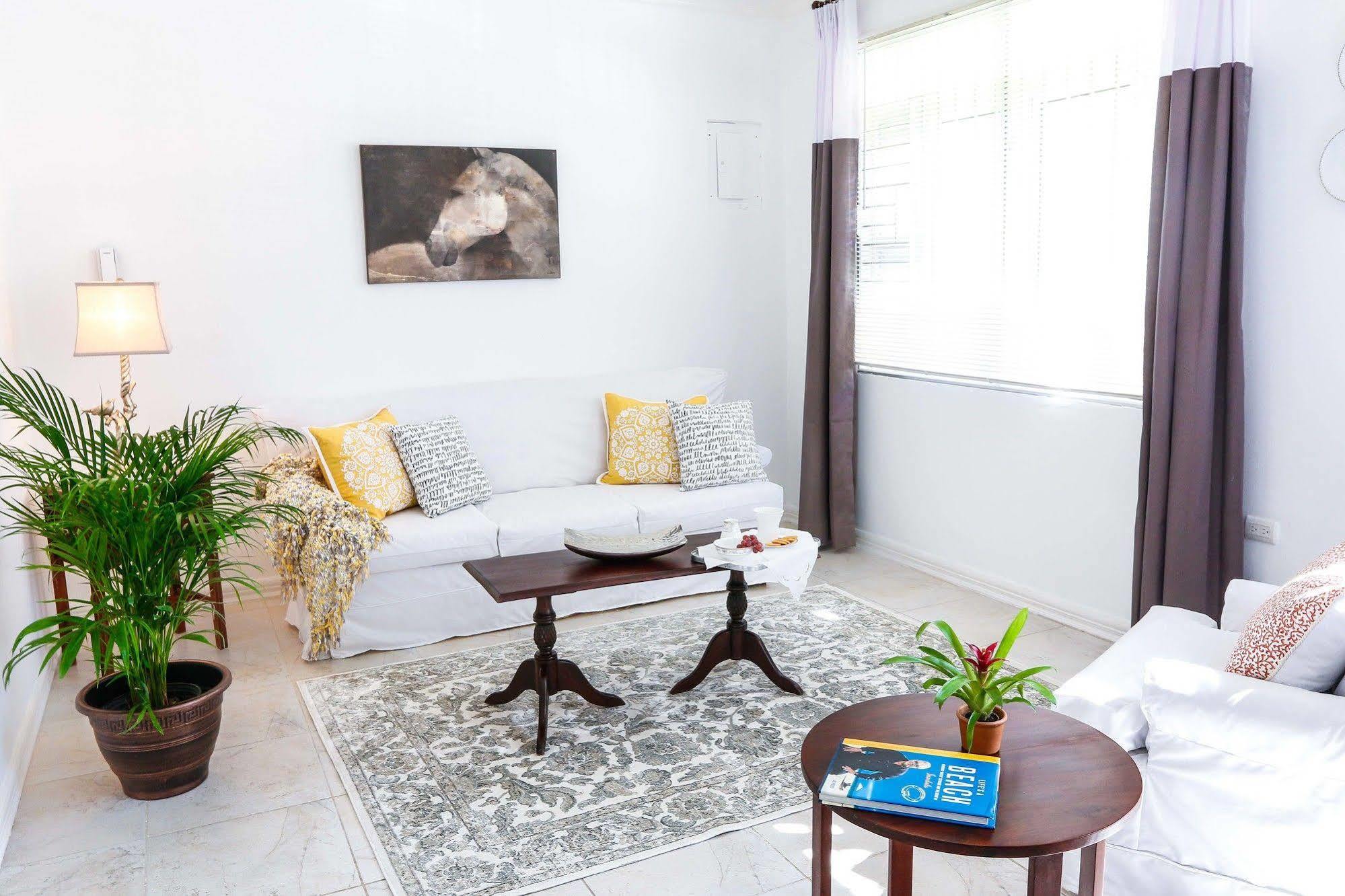 Cattleya'S New Kingston Guest Apartment 外观 照片