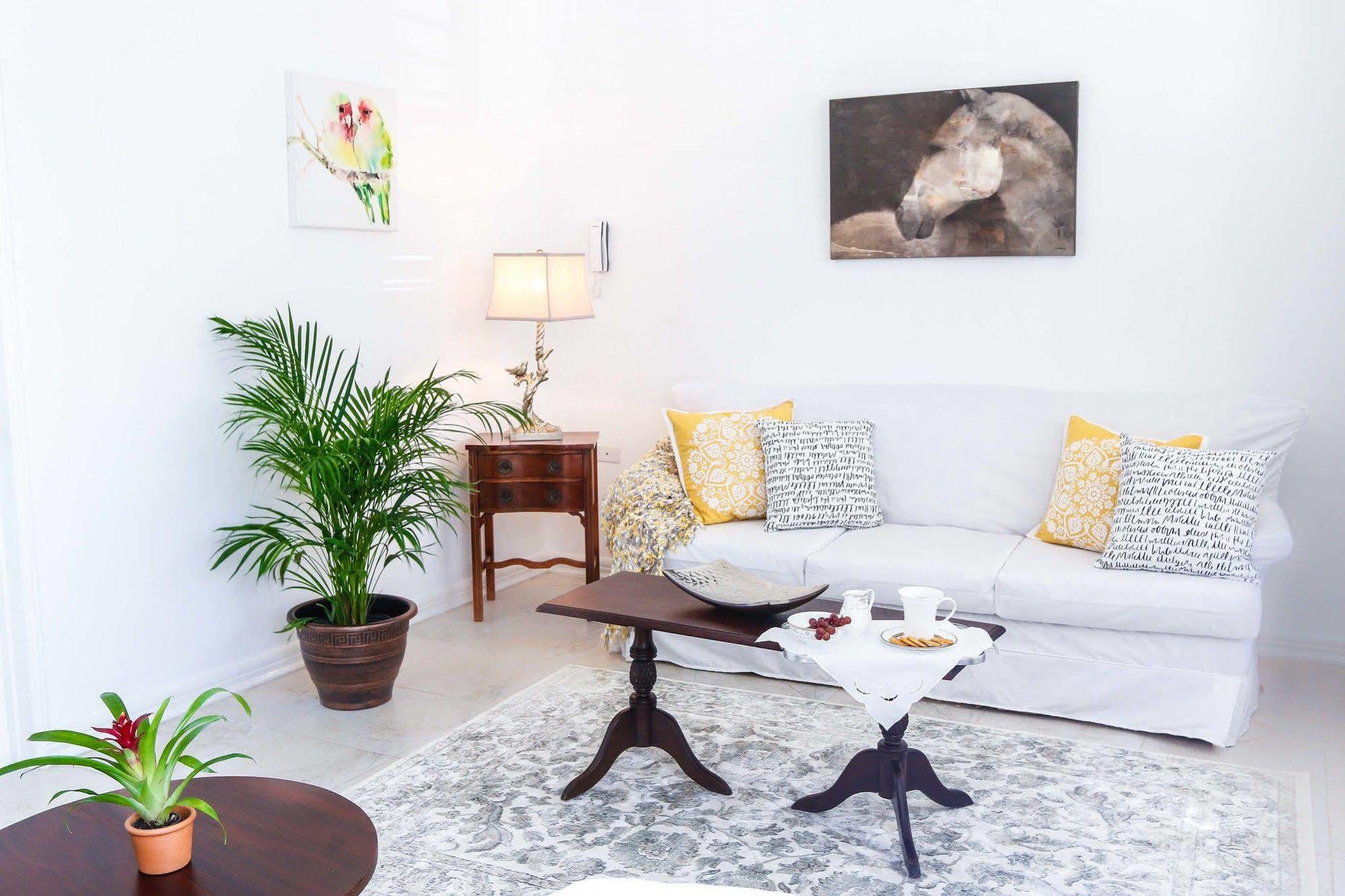 Cattleya'S New Kingston Guest Apartment 外观 照片