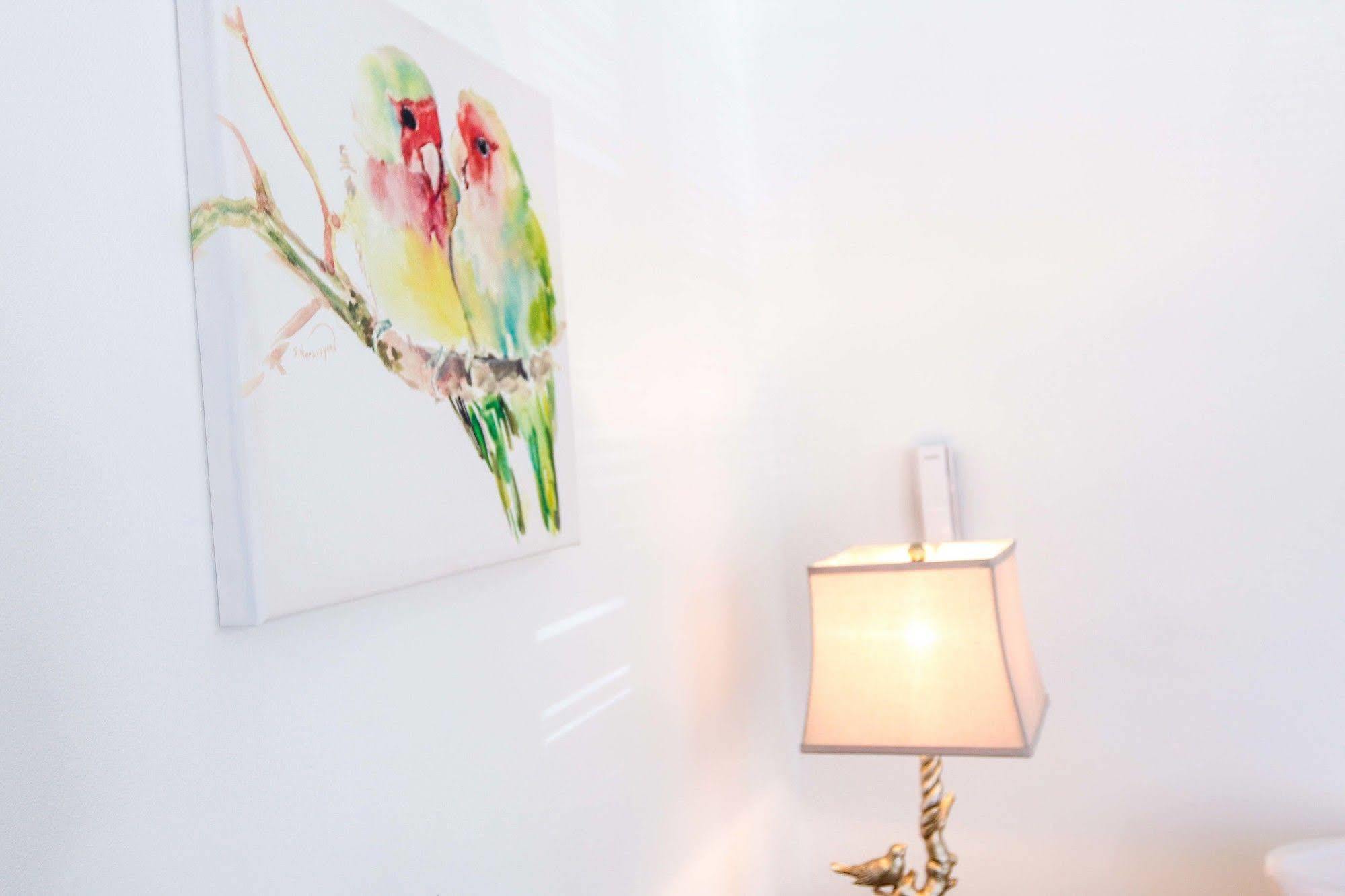 Cattleya'S New Kingston Guest Apartment 外观 照片